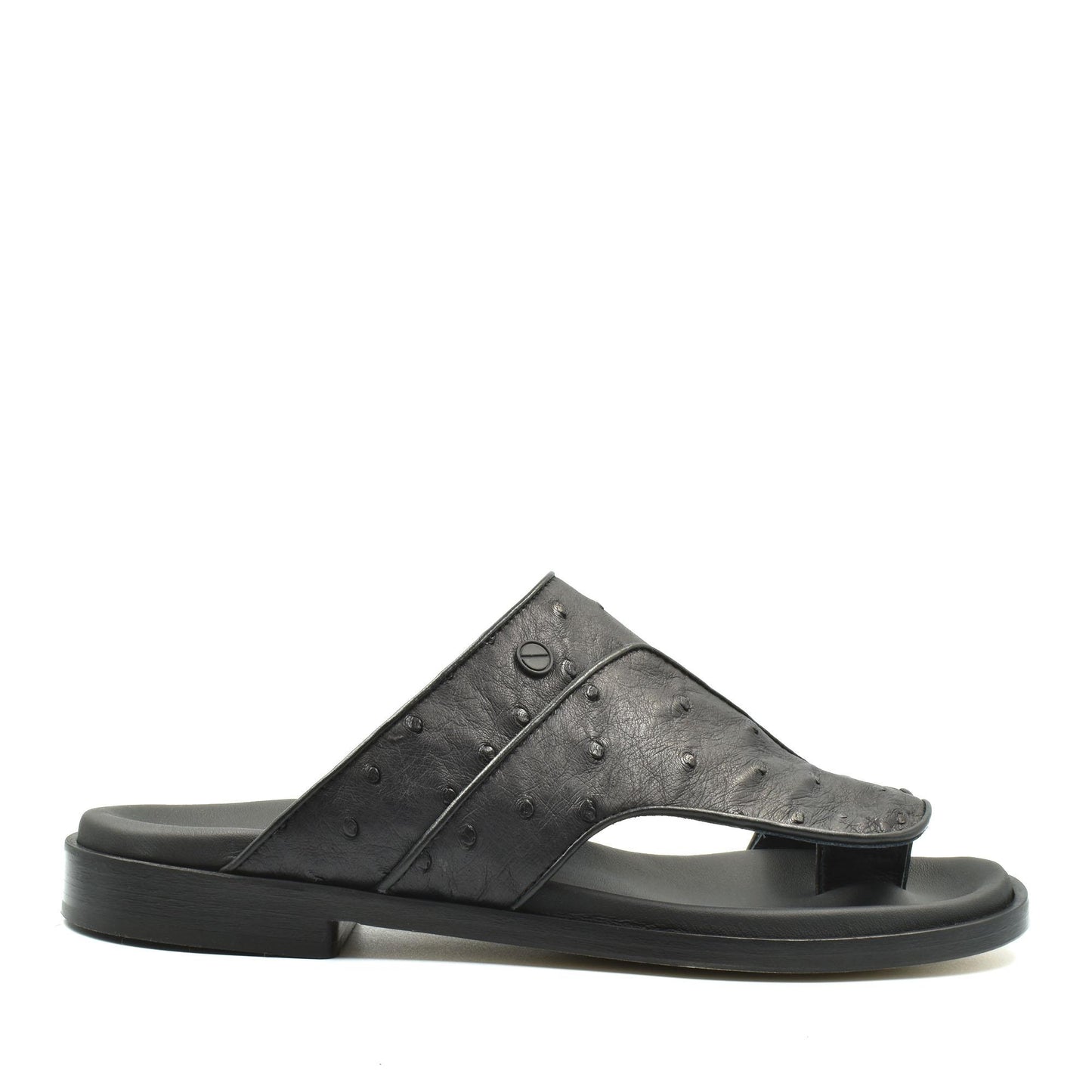 Vela Ostrich