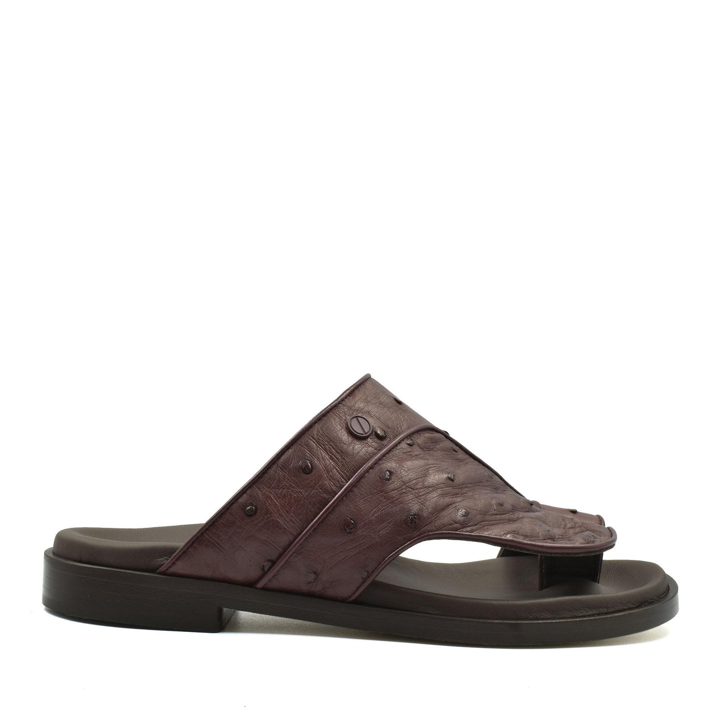 Vela Ostrich