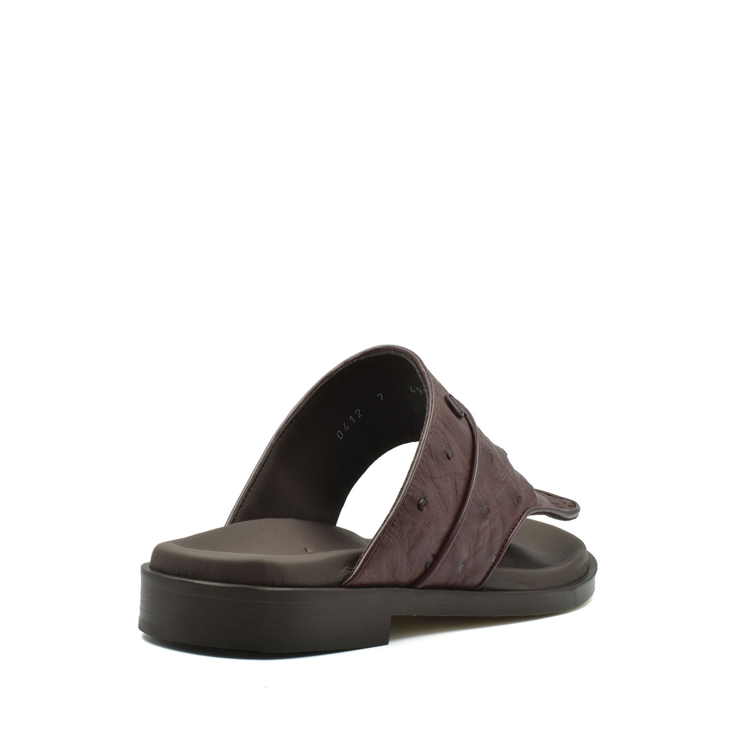 Vela Ostrich