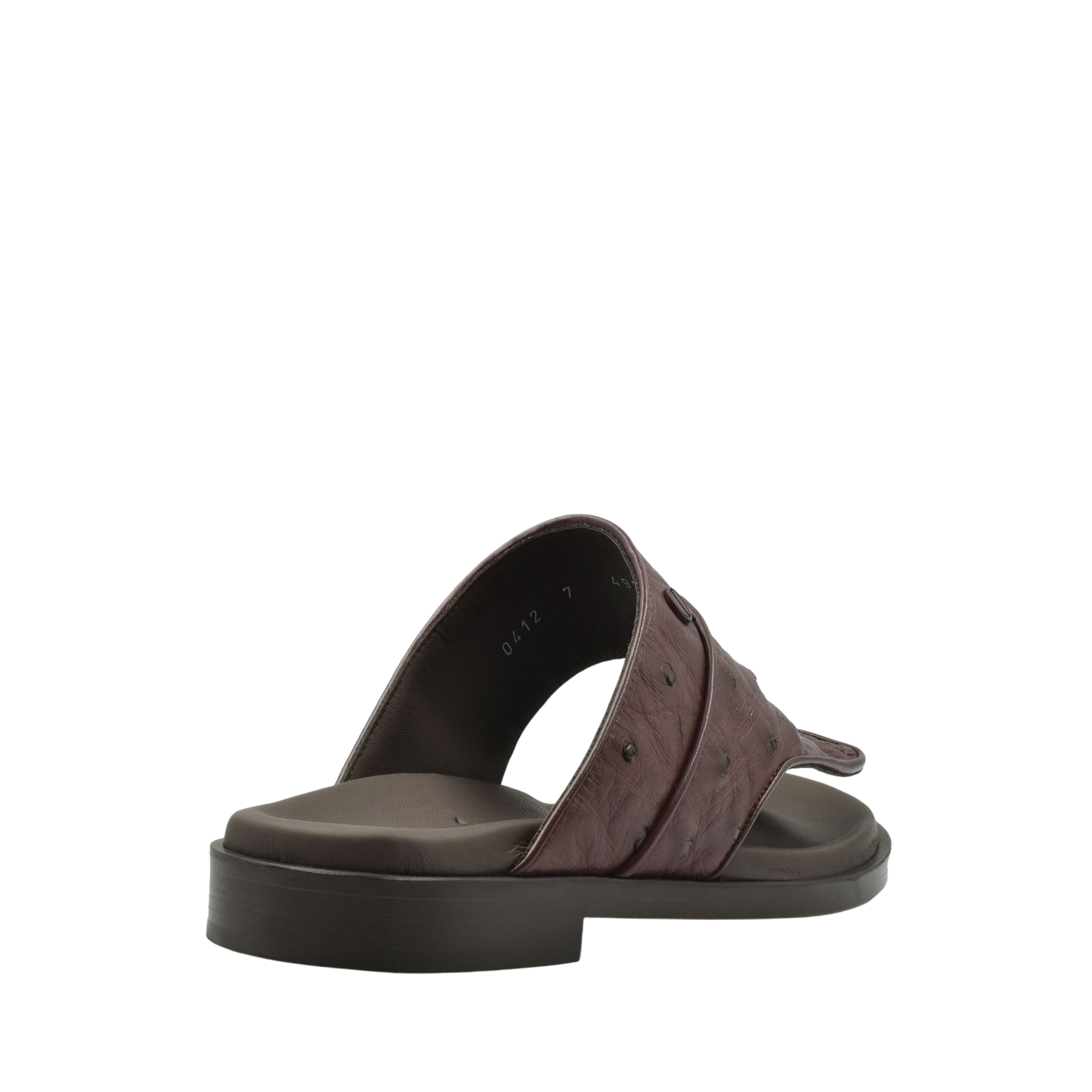 Vela Ostrich