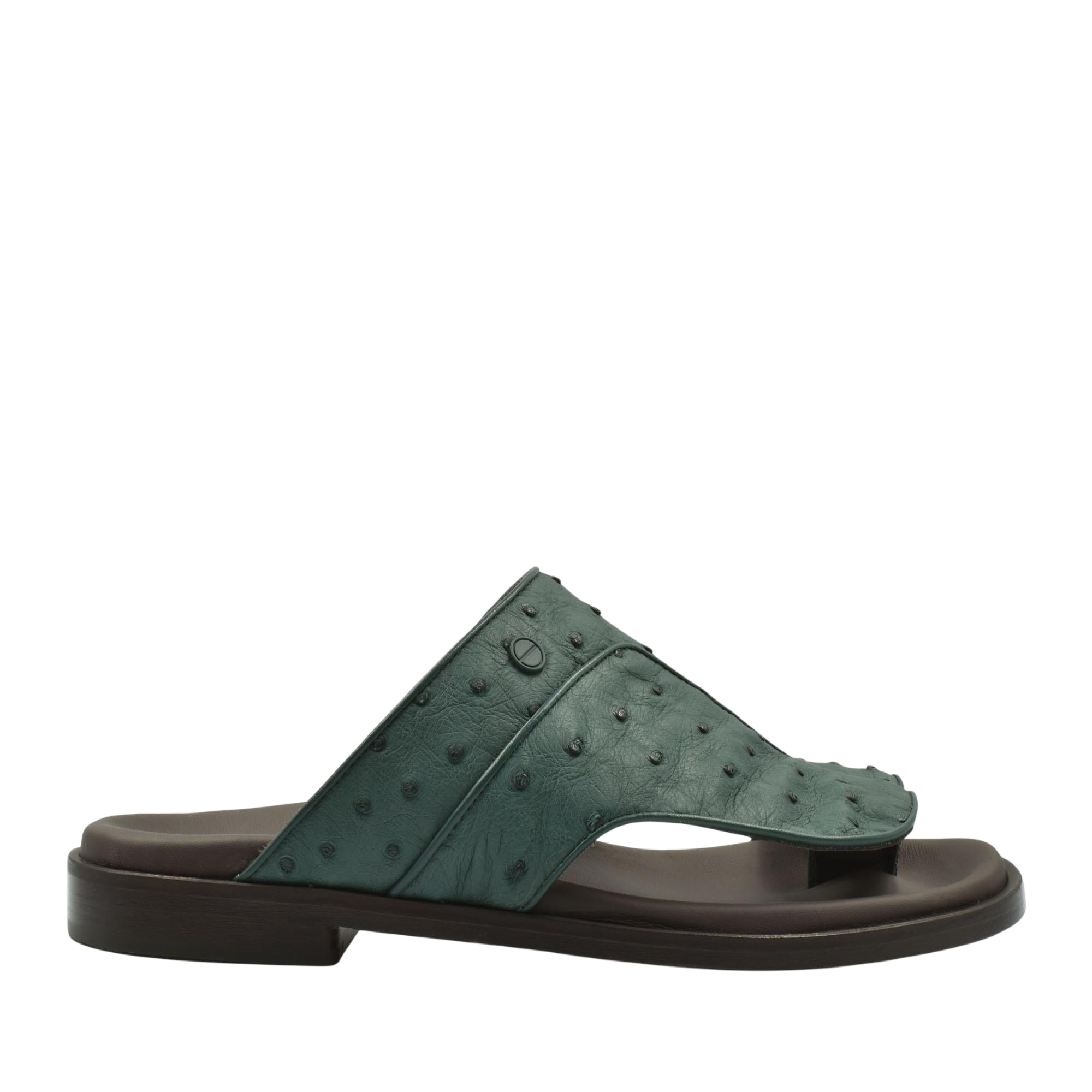 Vela Ostrich