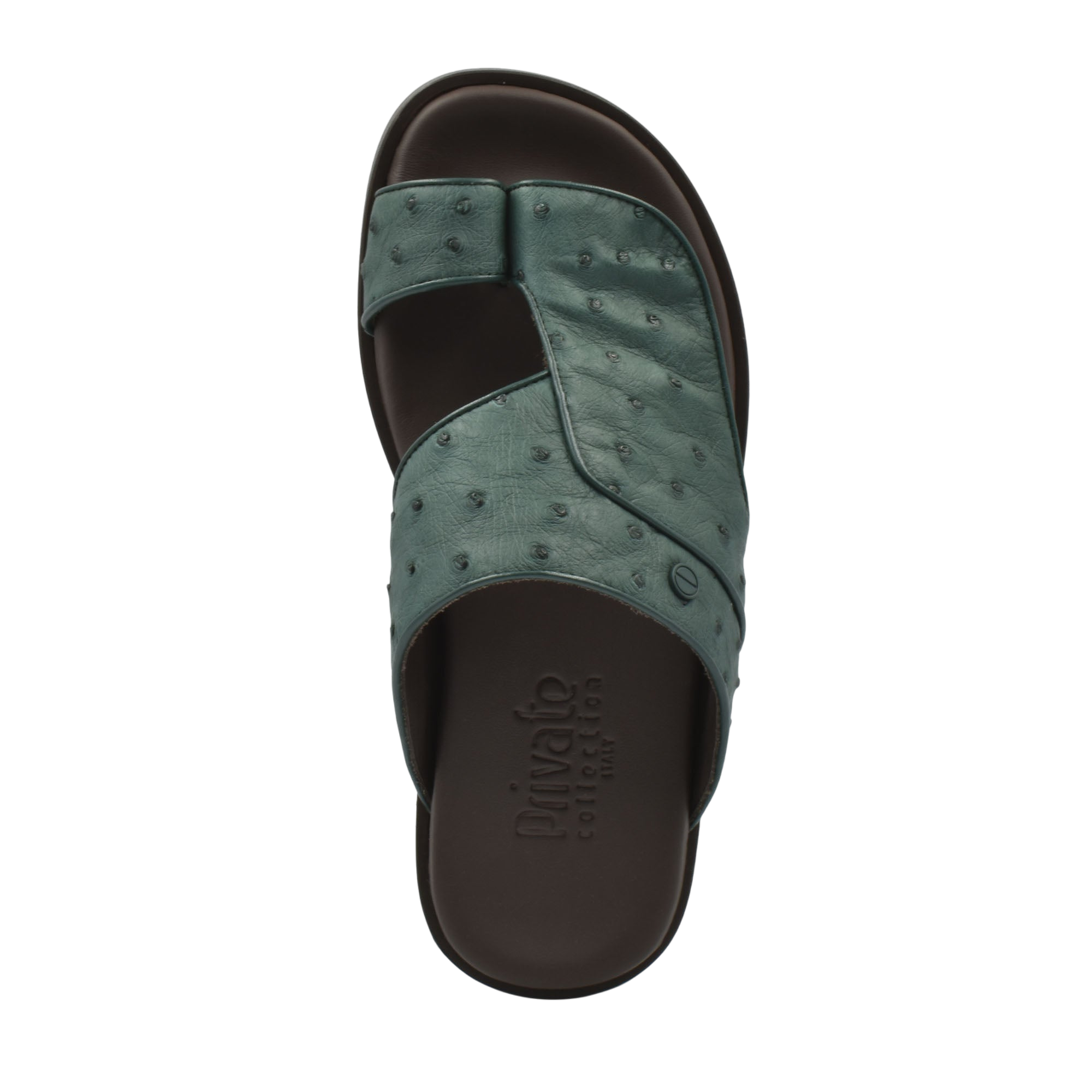 Vela Ostrich