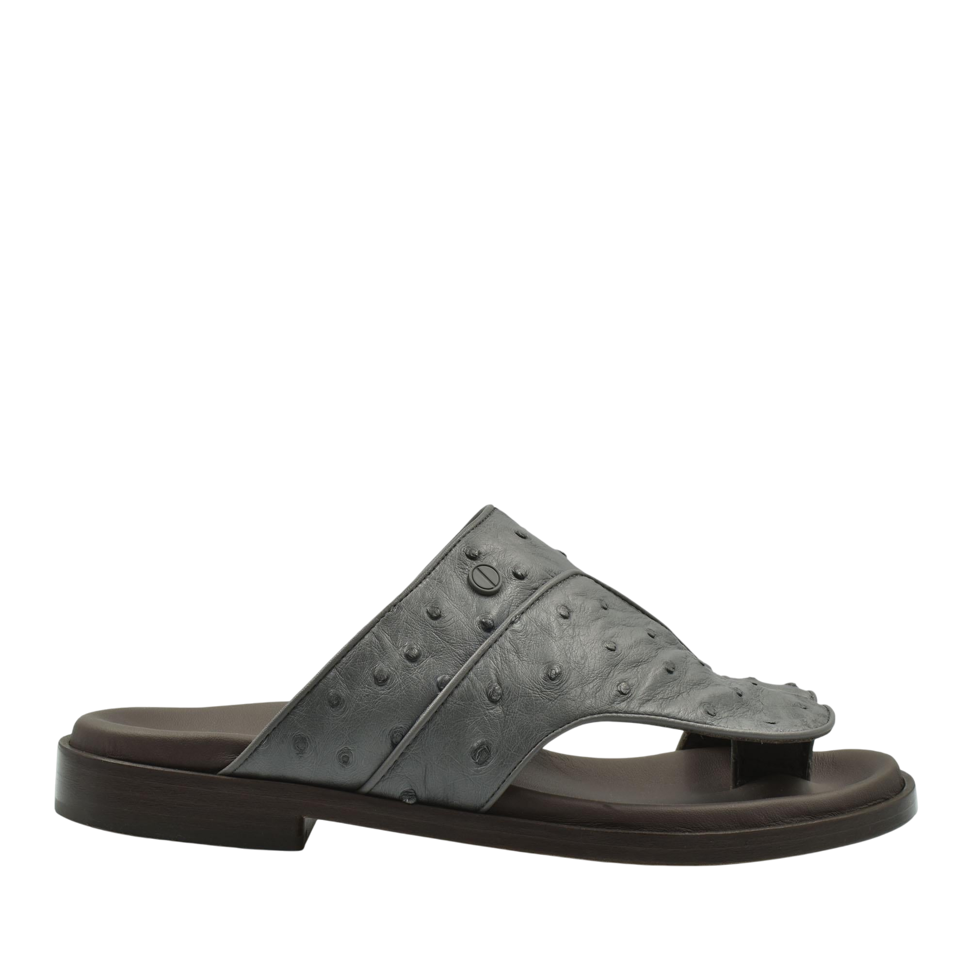 Vela Ostrich