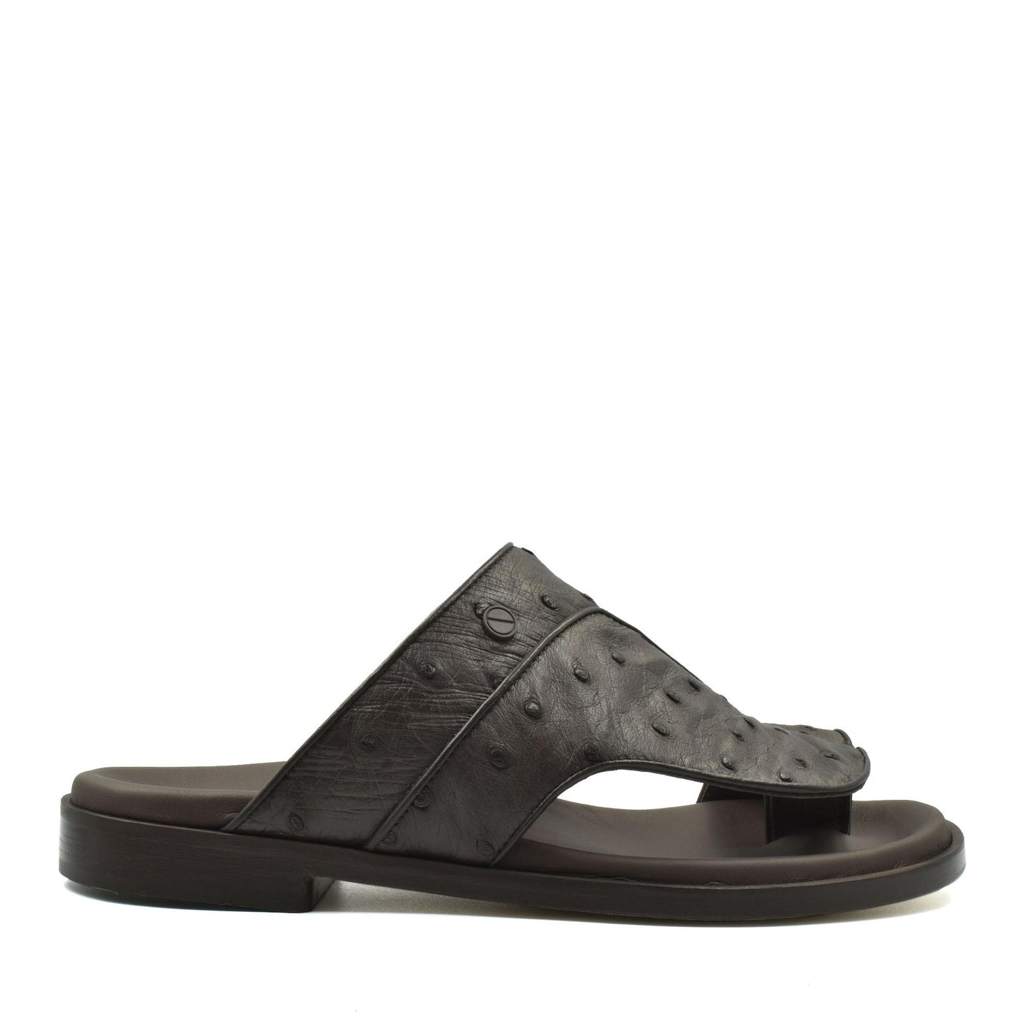 Vela Ostrich