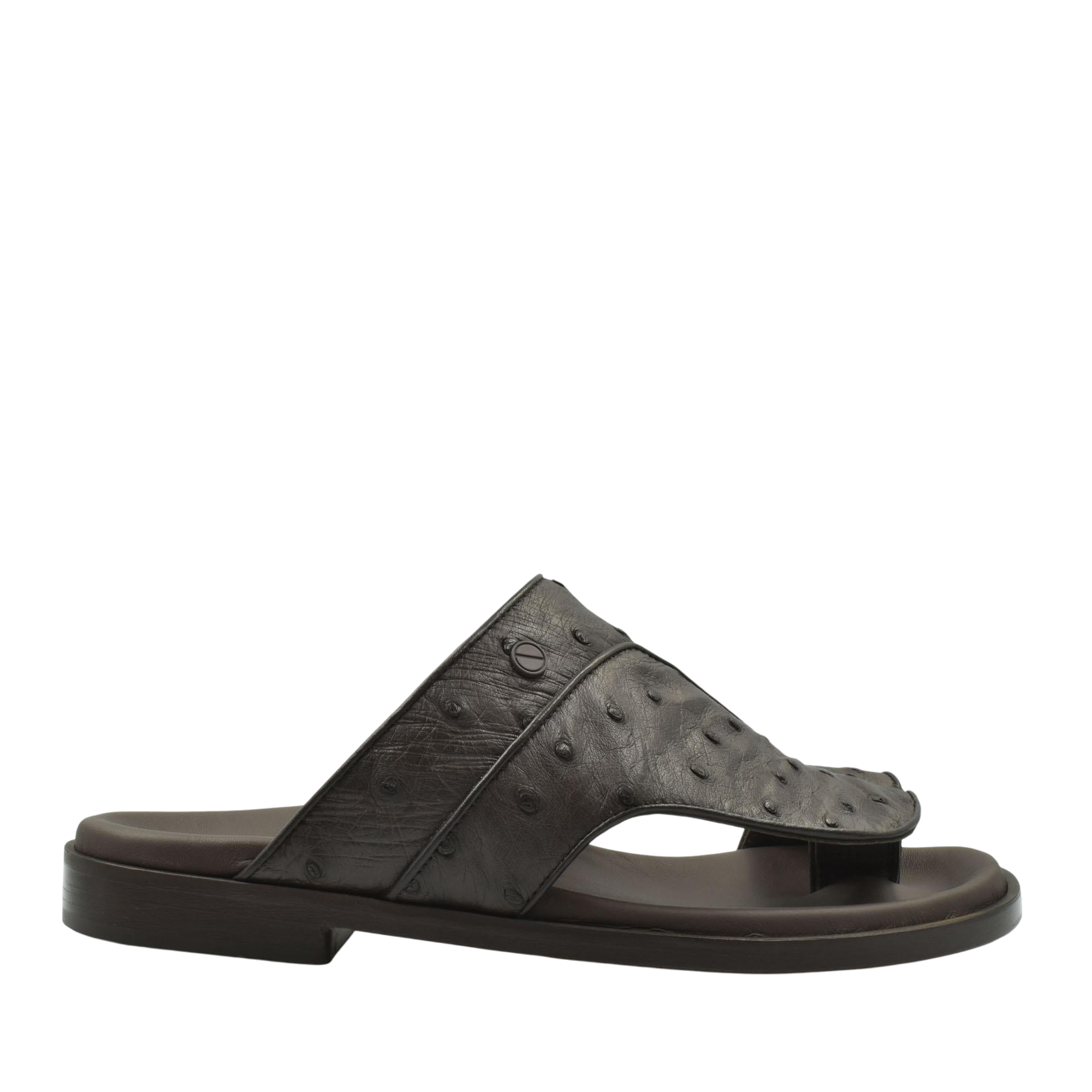 Vela Ostrich