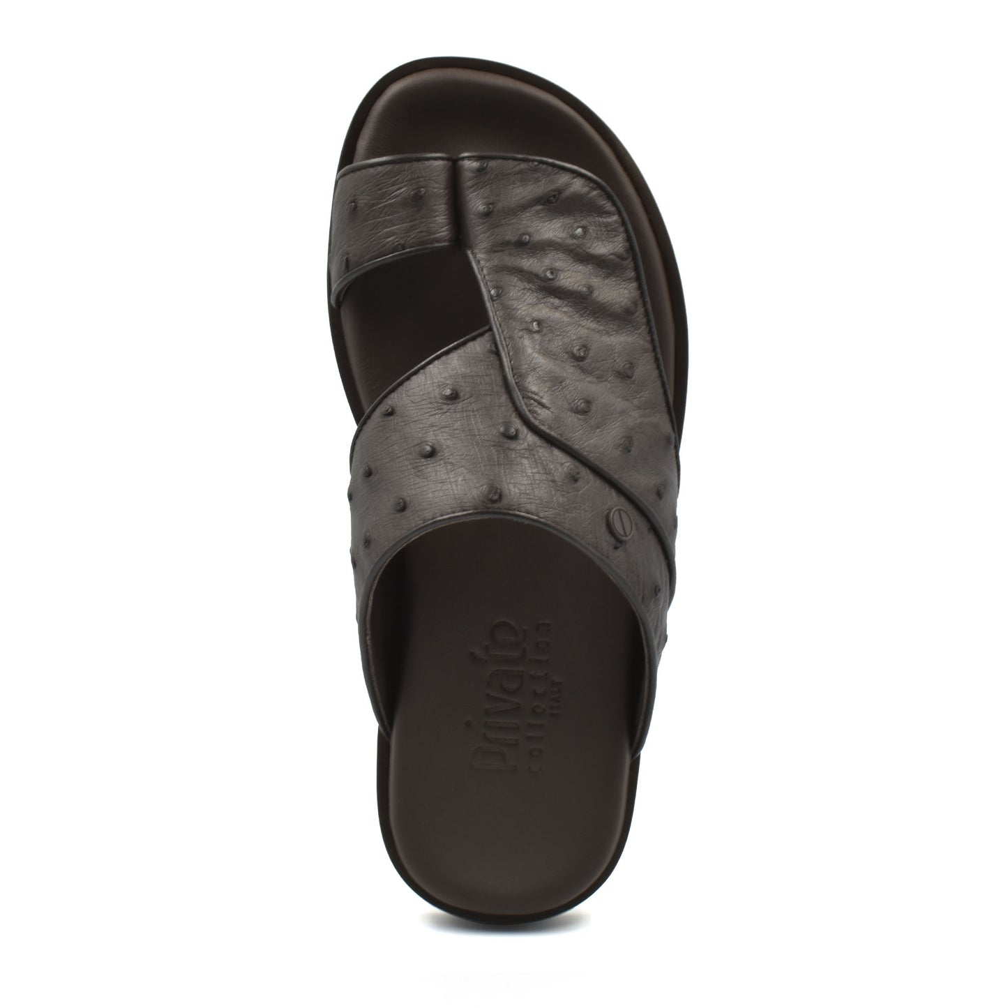 Vela Ostrich