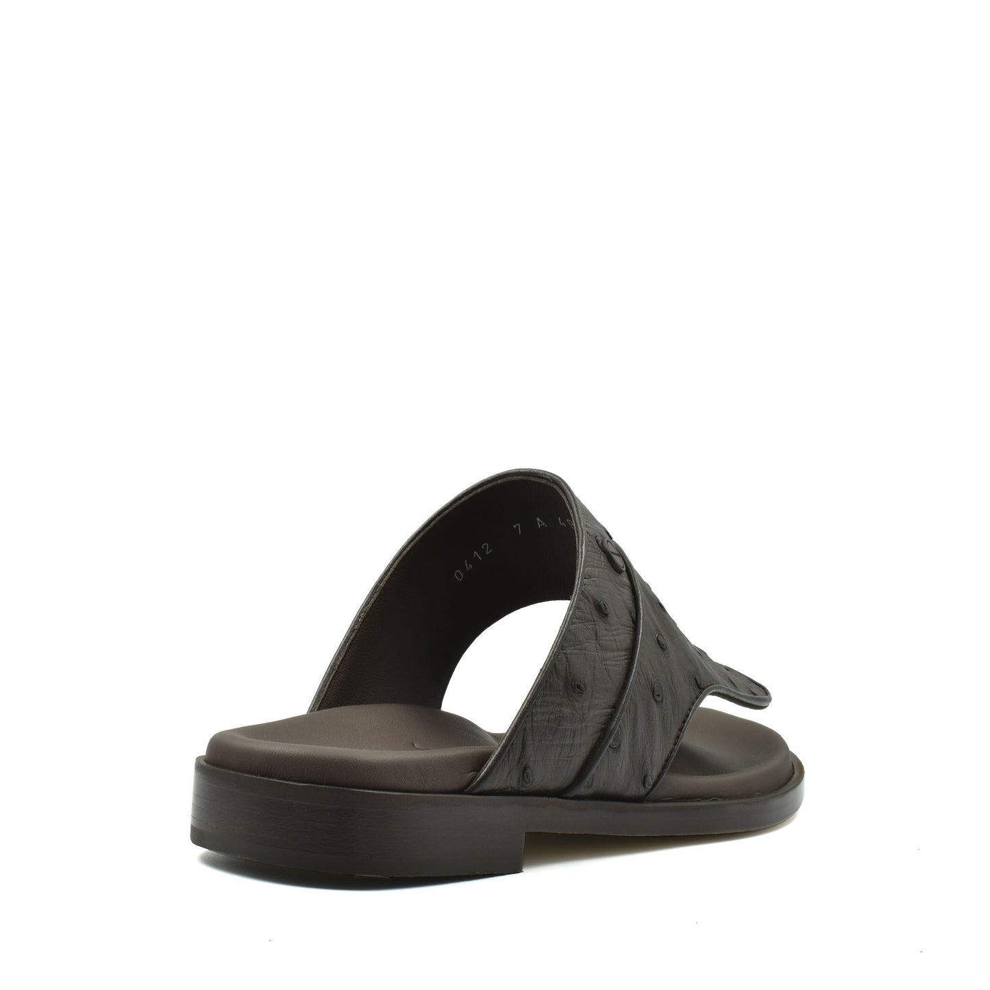Vela Ostrich