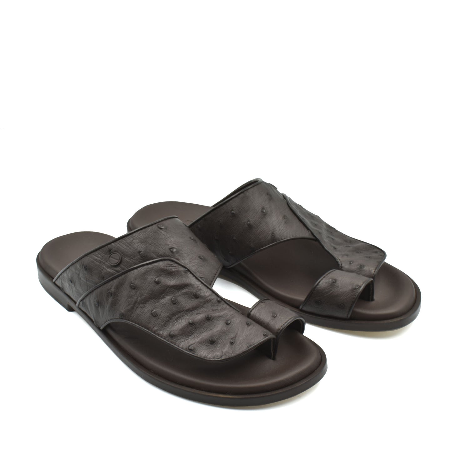 Vela Ostrich