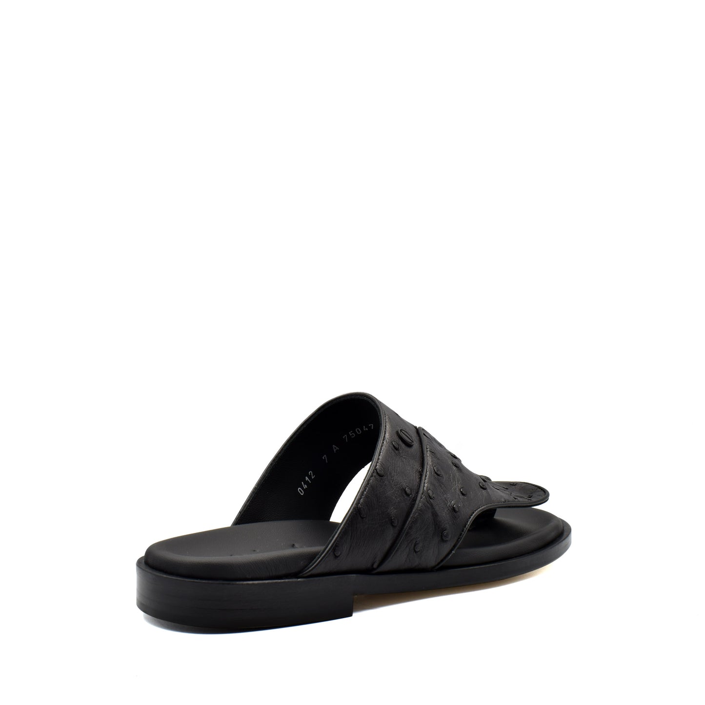 Vela Ostrich