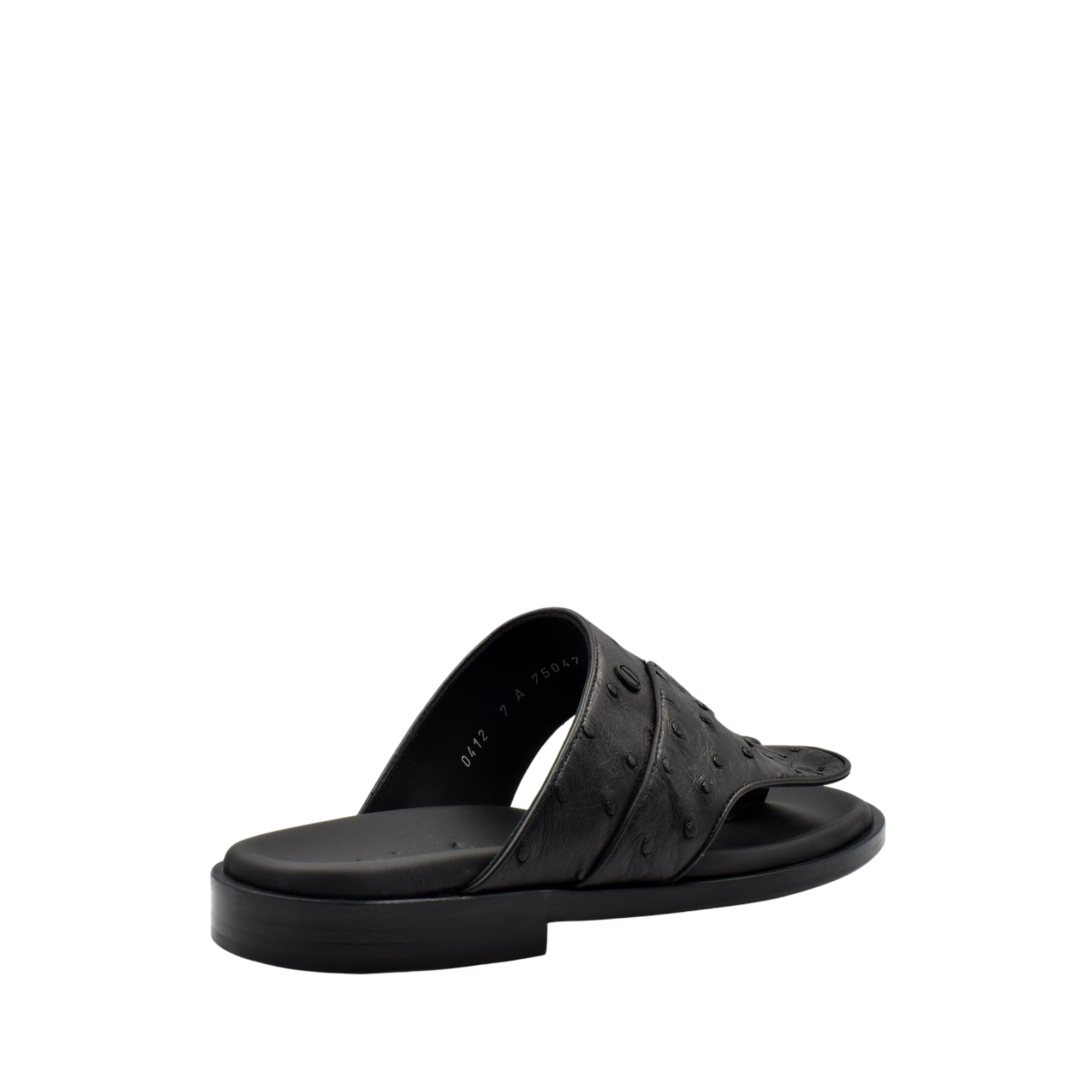 Vela Ostrich