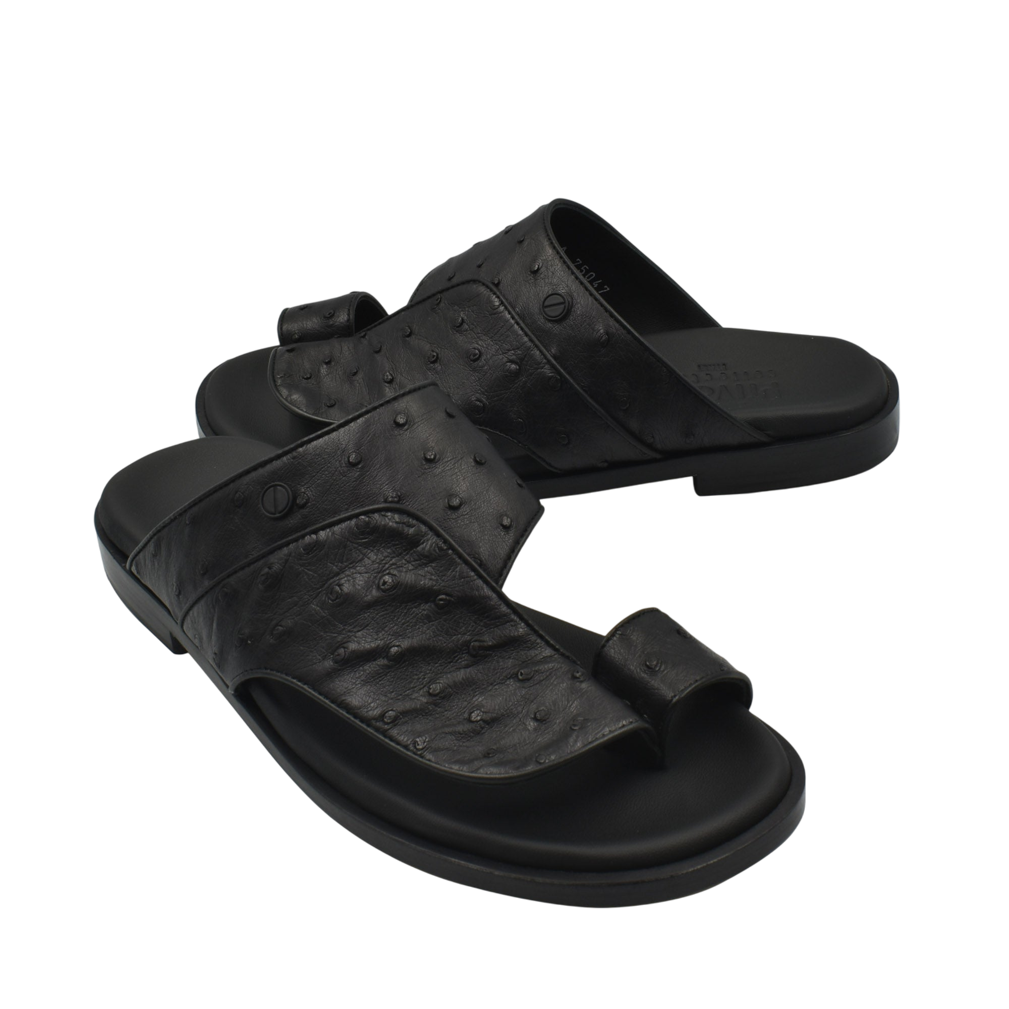 Vela Ostrich