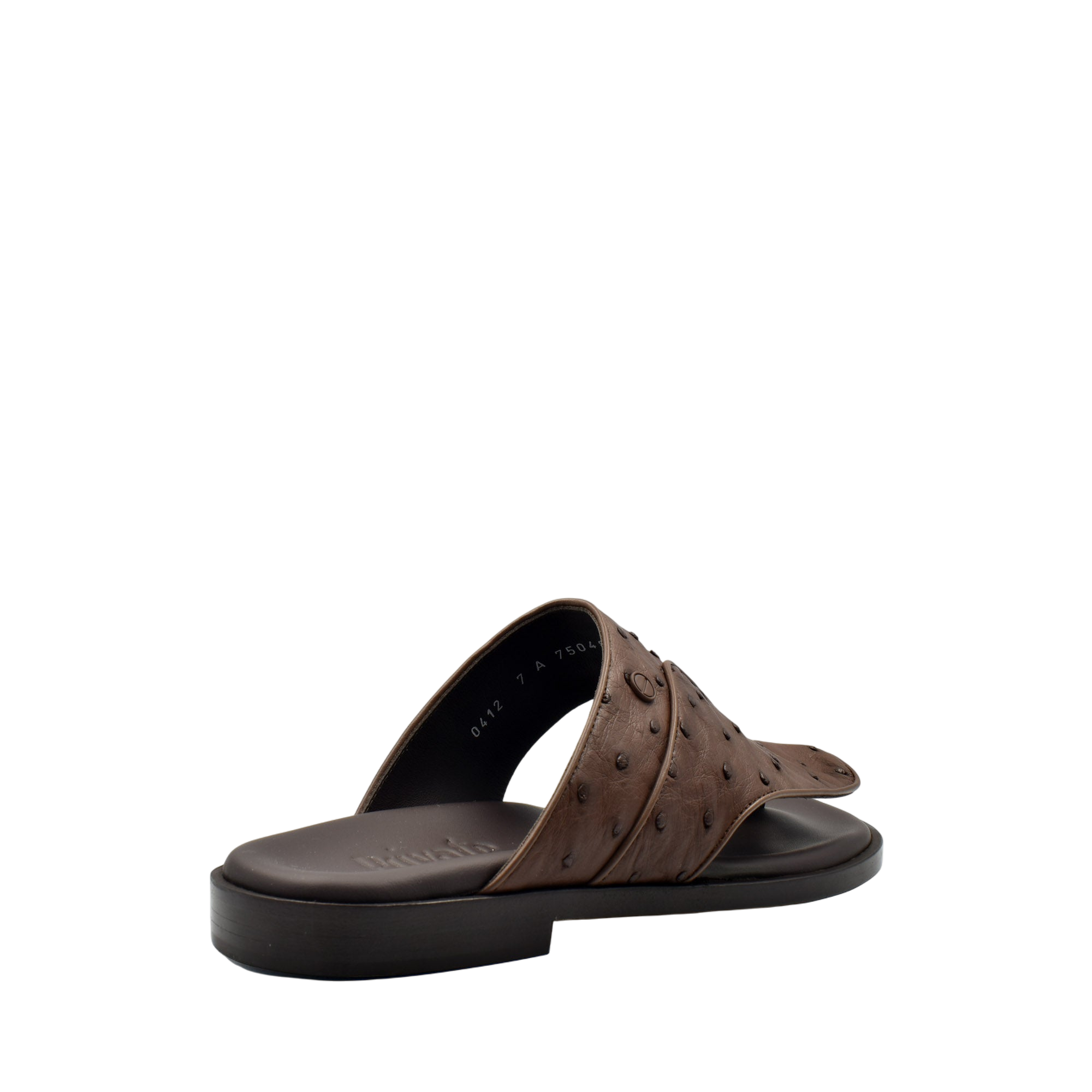 Vela Ostrich