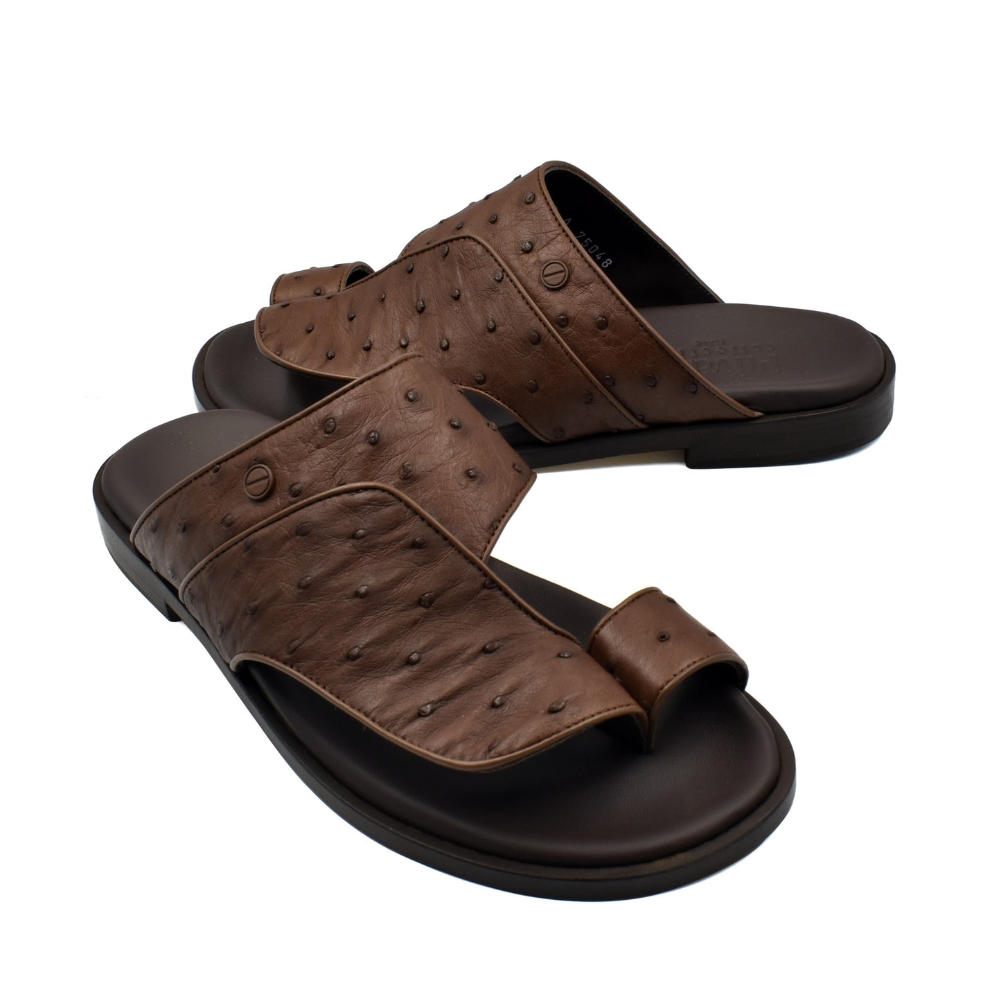 Vela Ostrich
