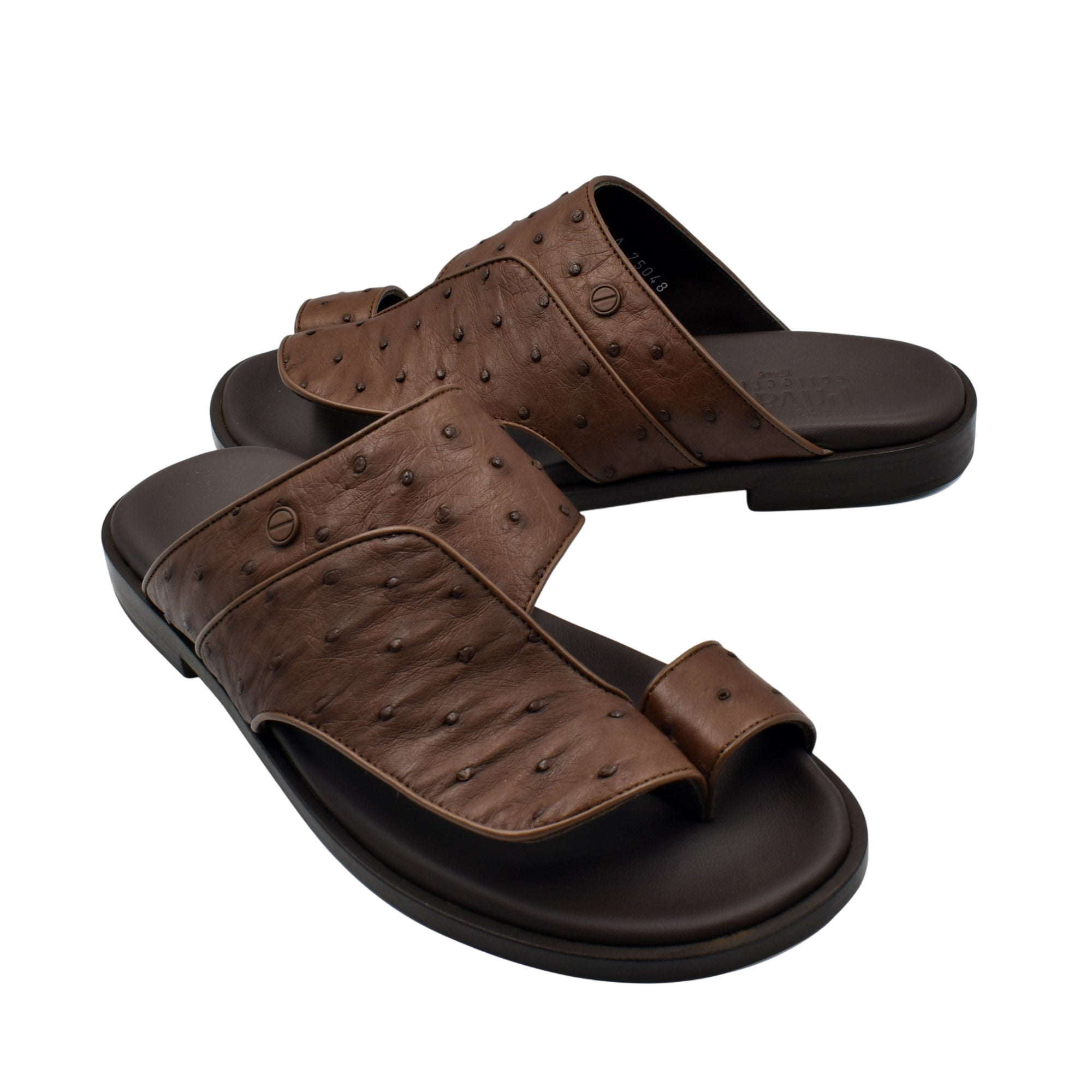 Vela Ostrich