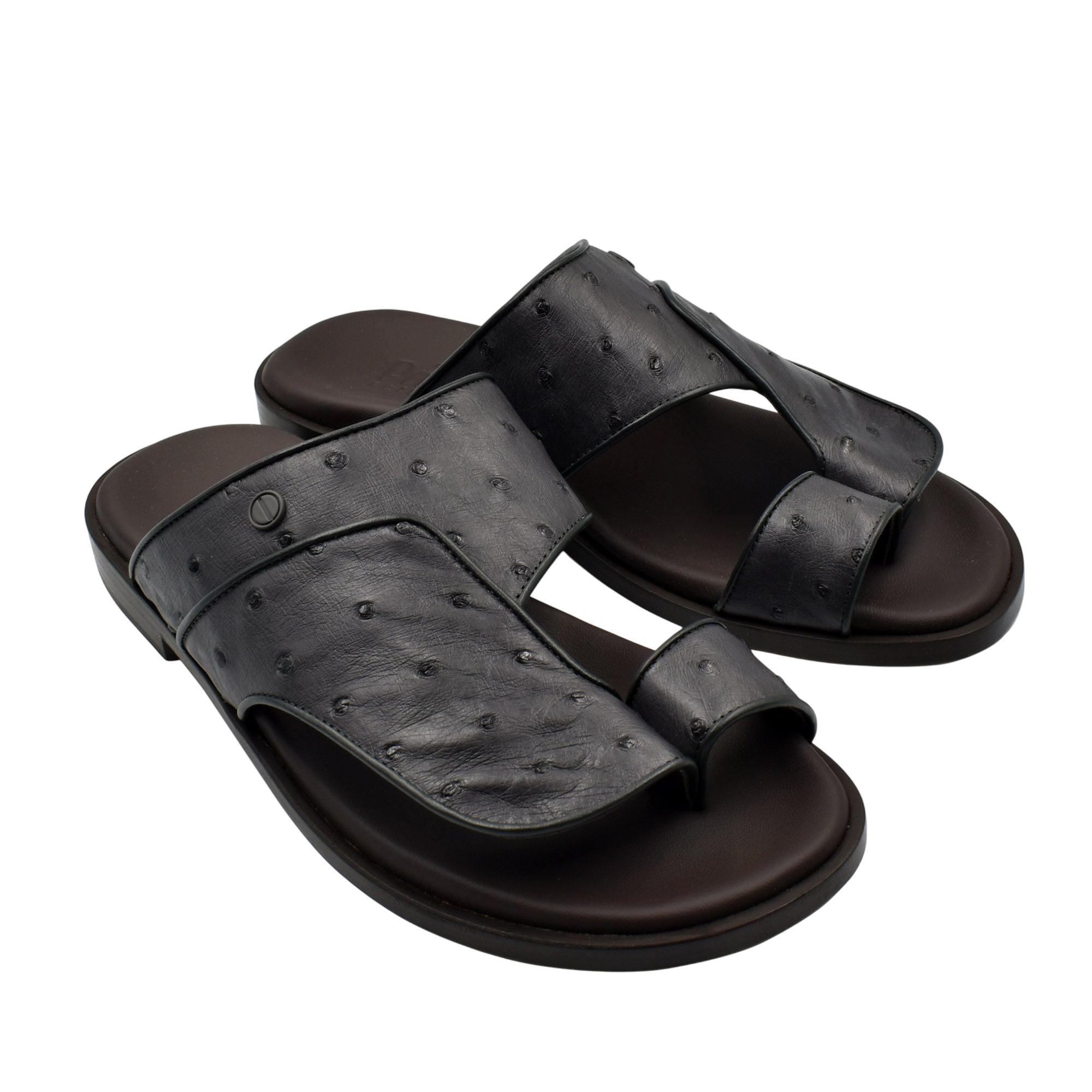 Vela Ostrich
