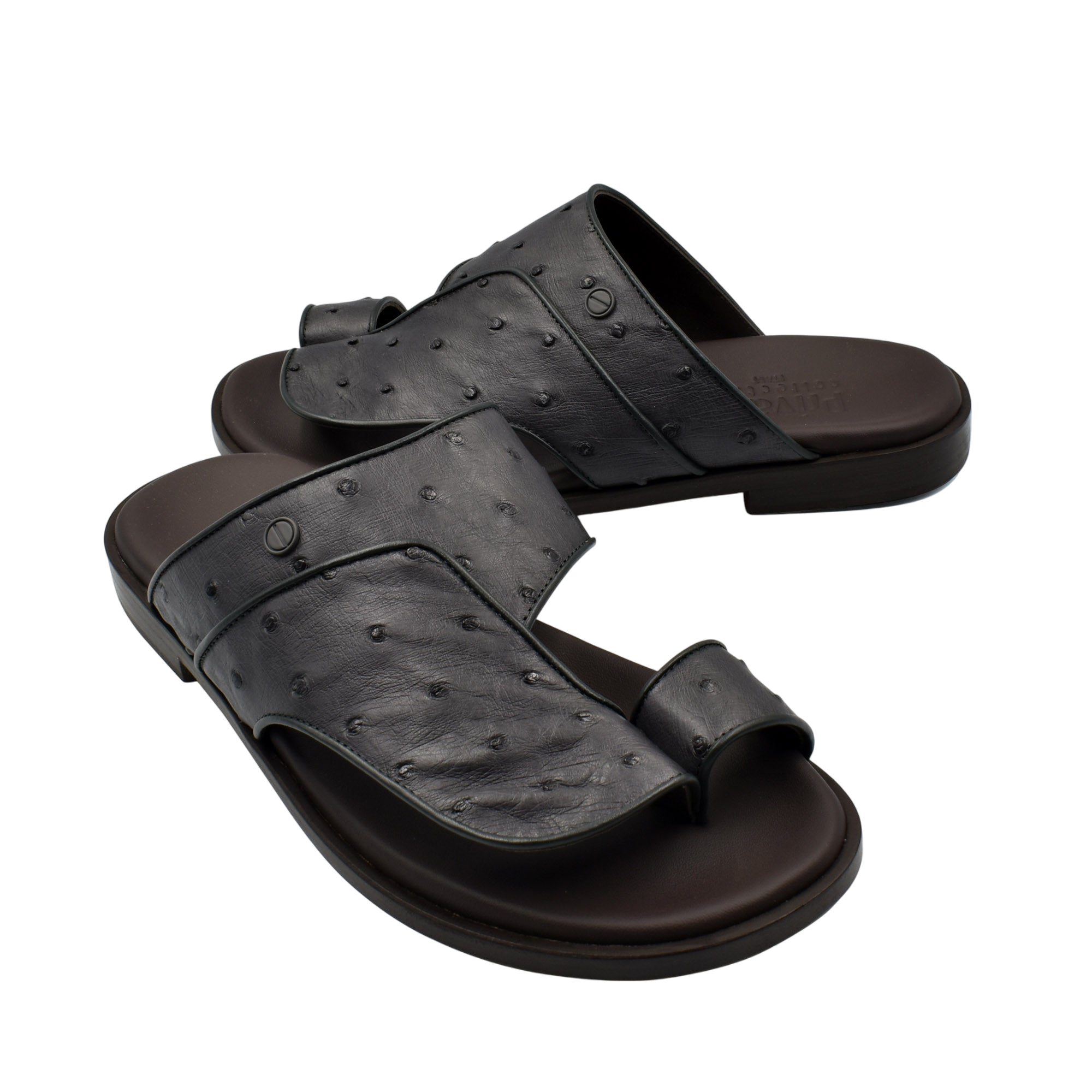 Vela Ostrich