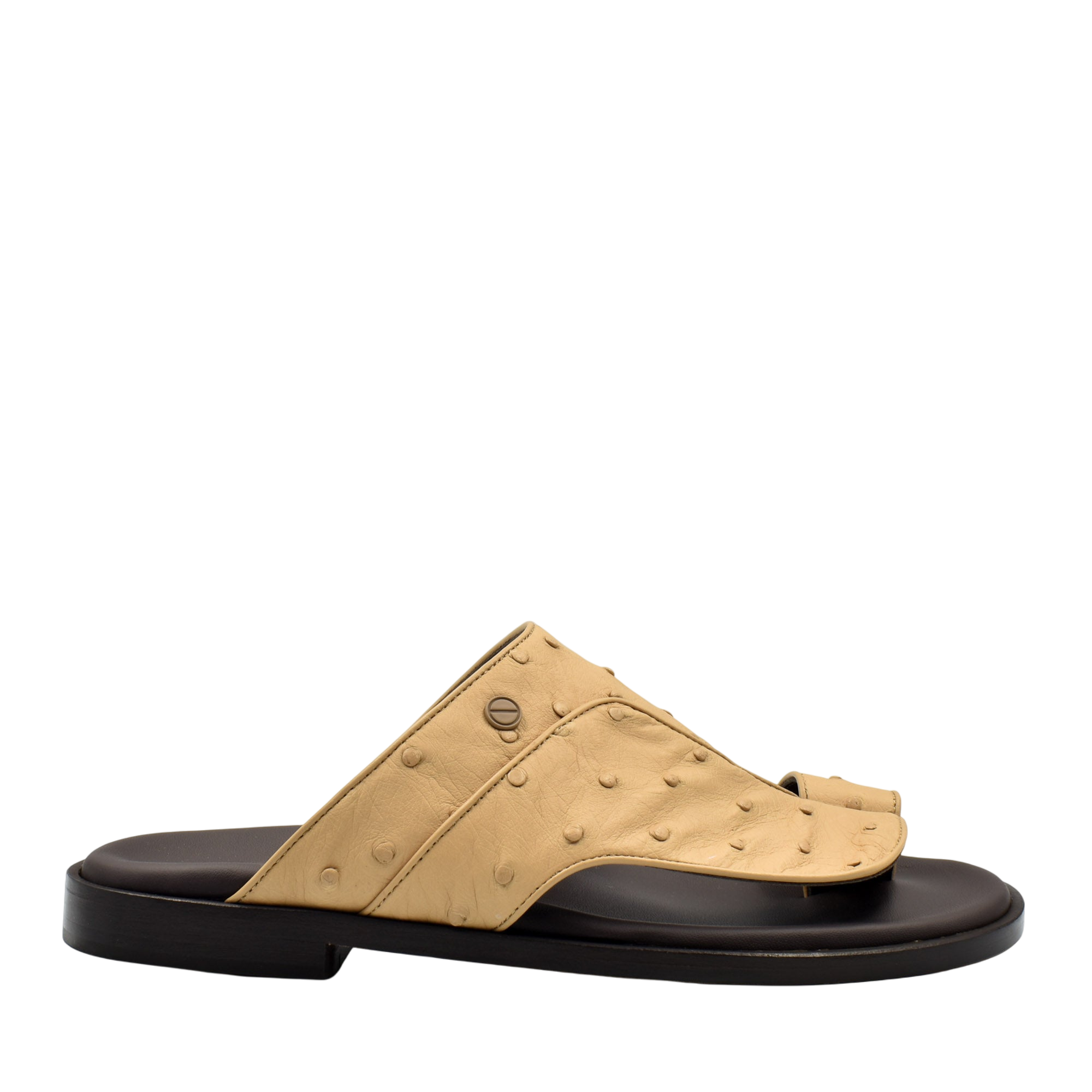 Vela Ostrich