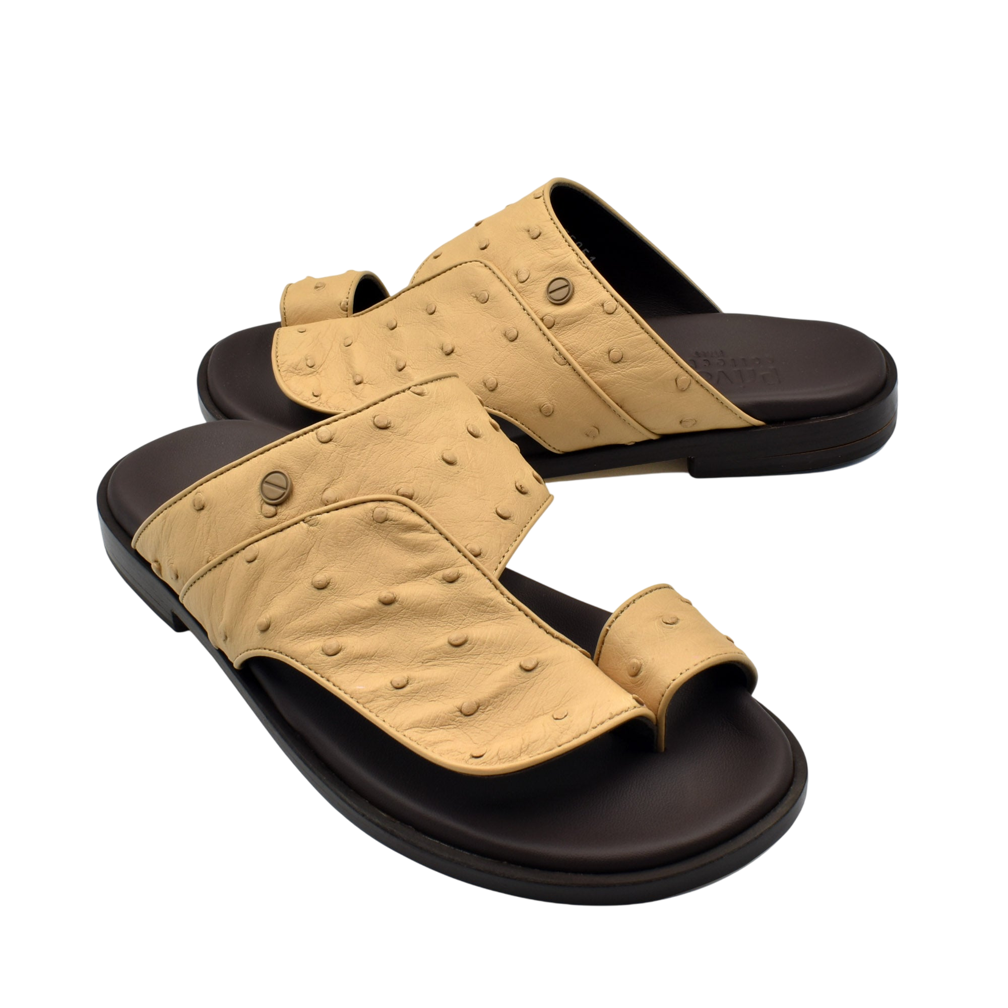 Vela Ostrich