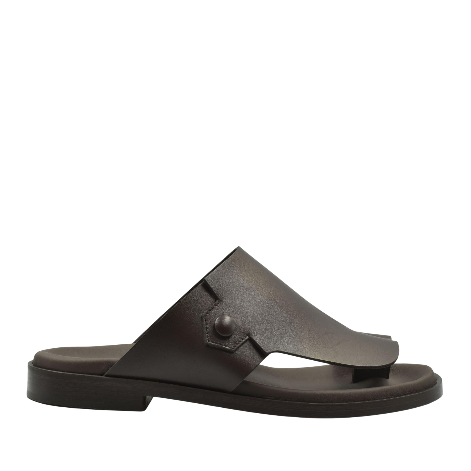 Arabian Vela Graffetta