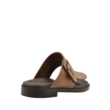 Arabian Vela Fissare Deercalf