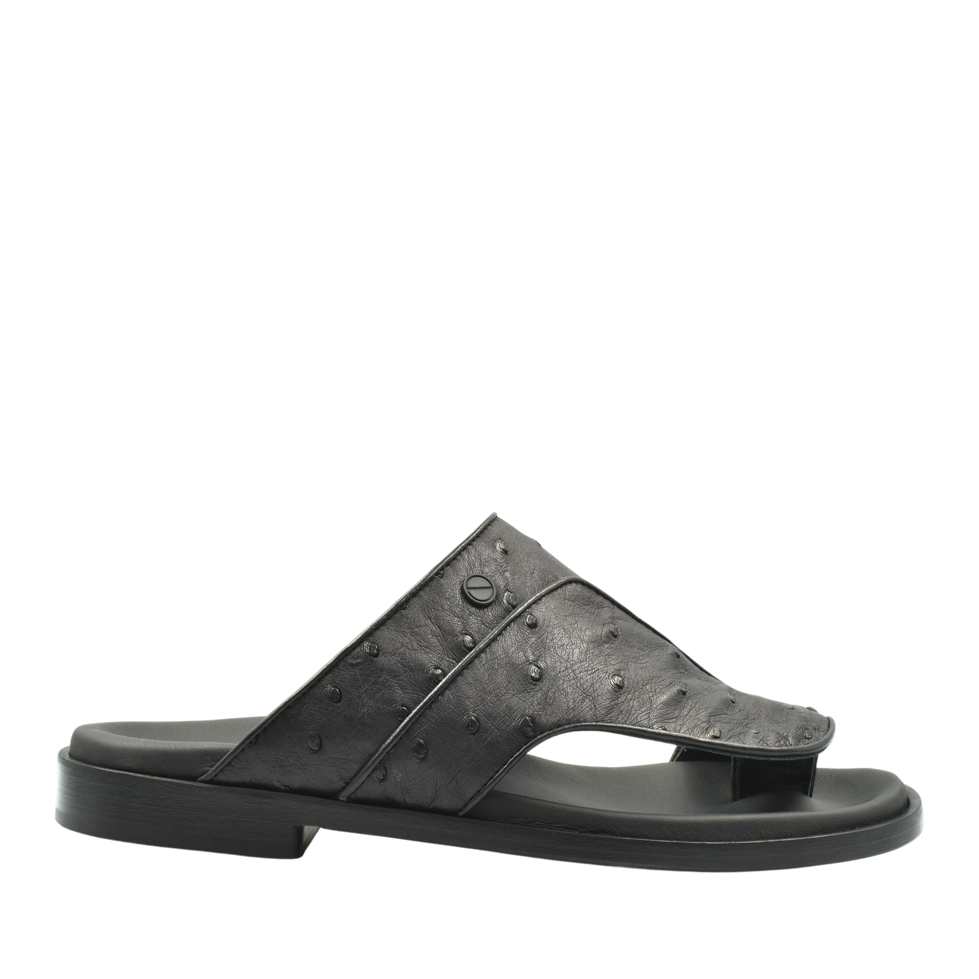 Vela Ostrich