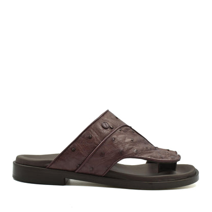 Vela Ostrich
