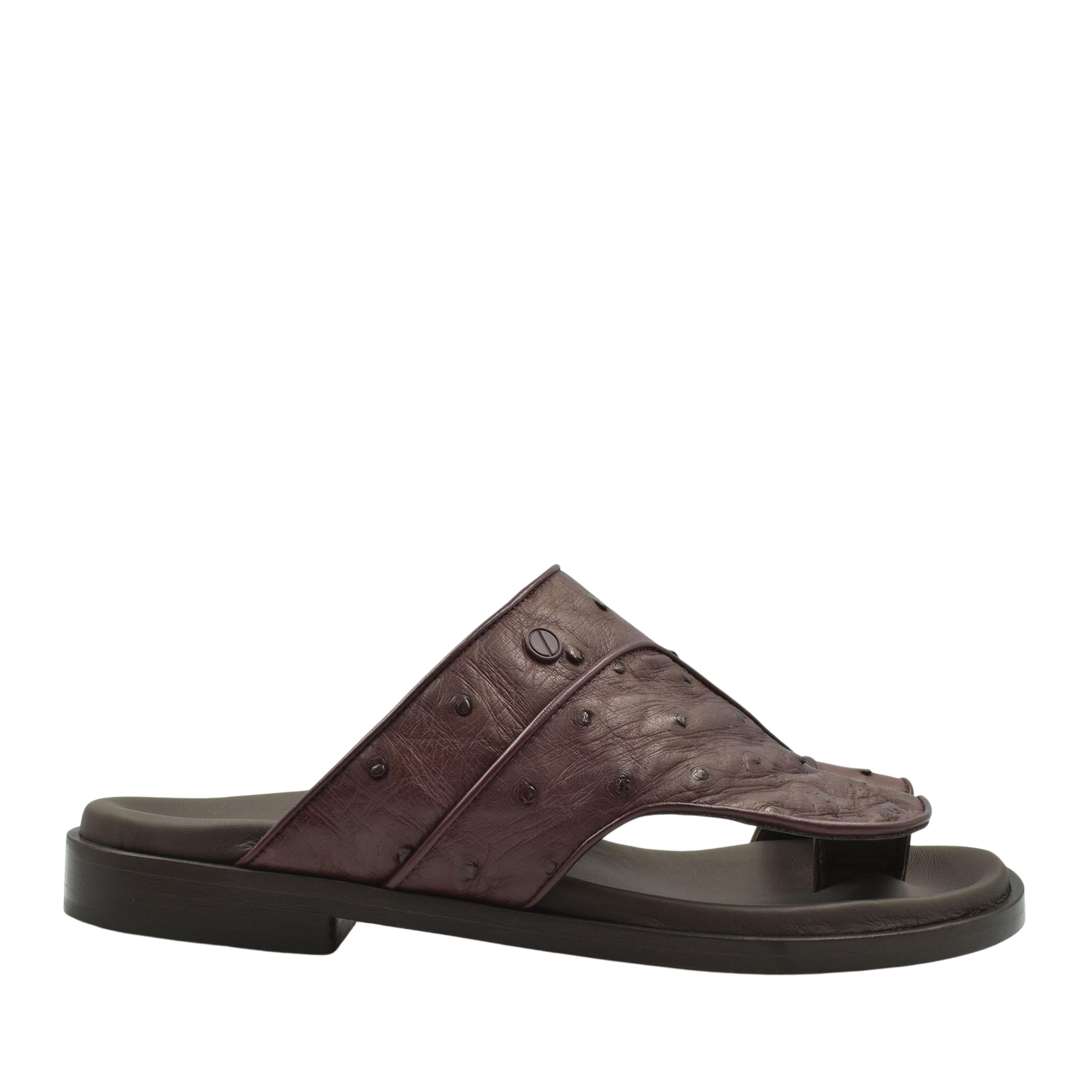 Vela Ostrich