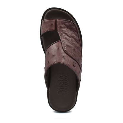 Vela Ostrich