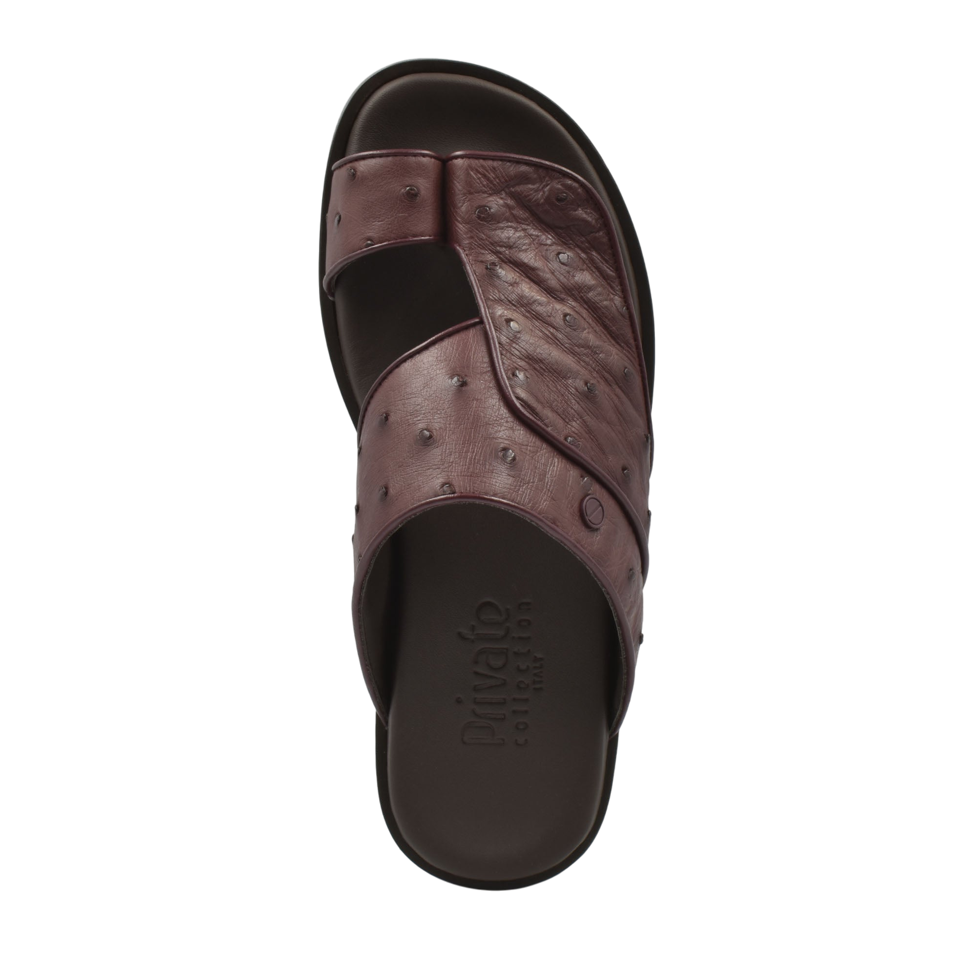 Vela Ostrich