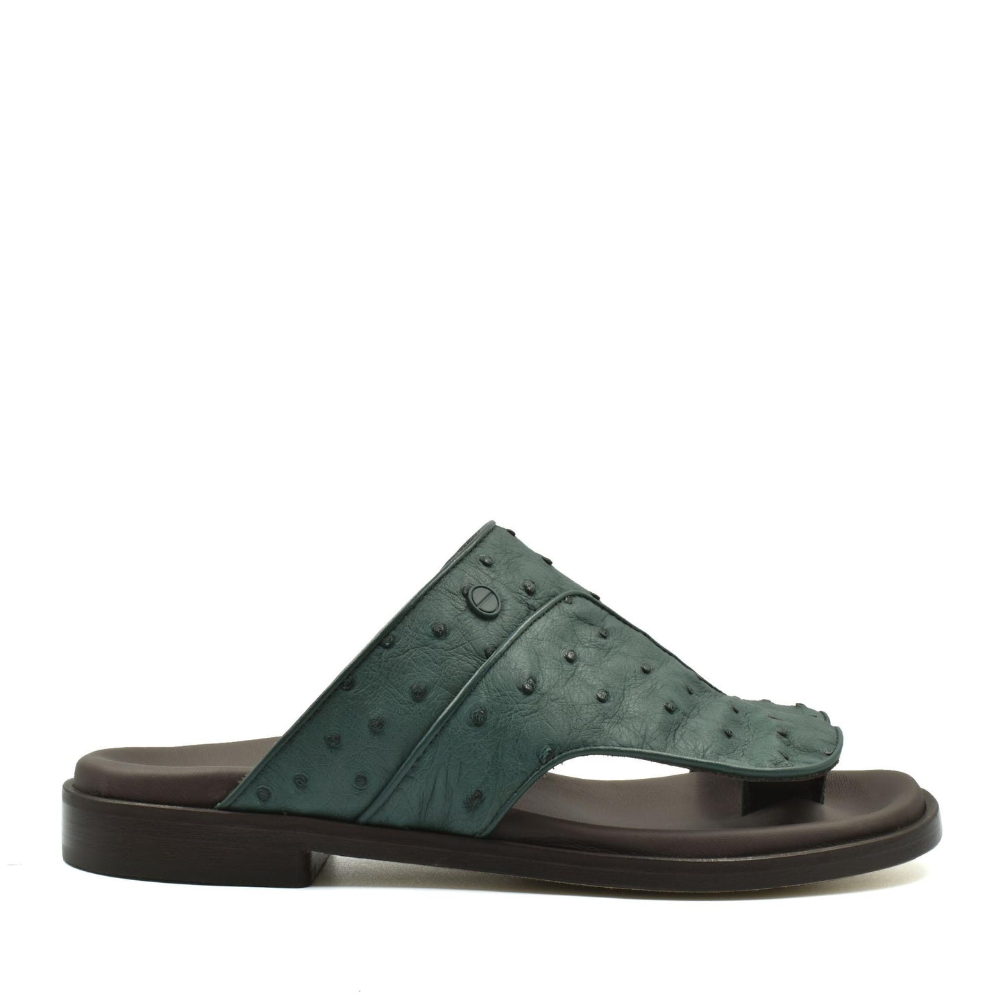 Vela Ostrich