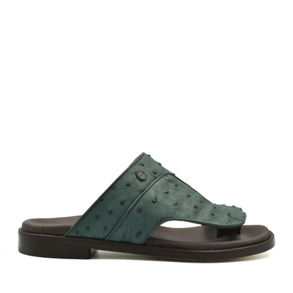 Vela Ostrich