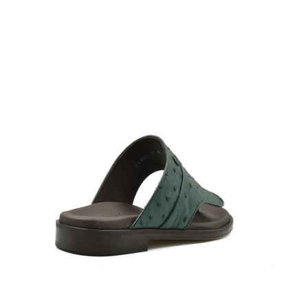 Vela Ostrich