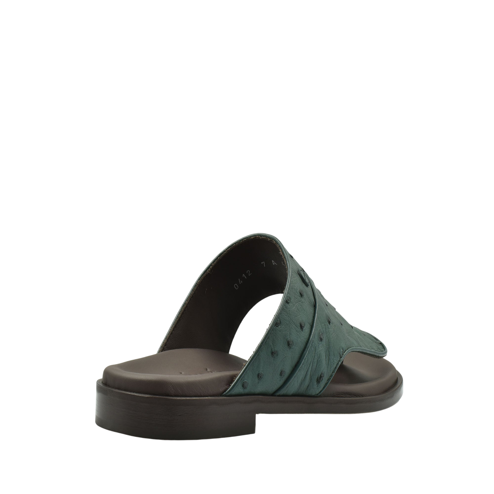 Vela Ostrich