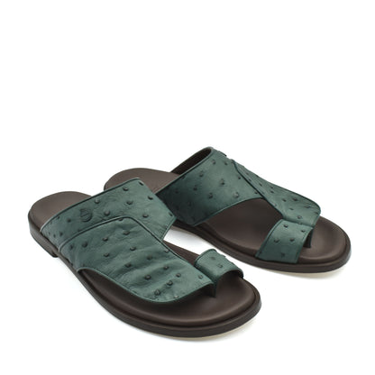 Vela Ostrich