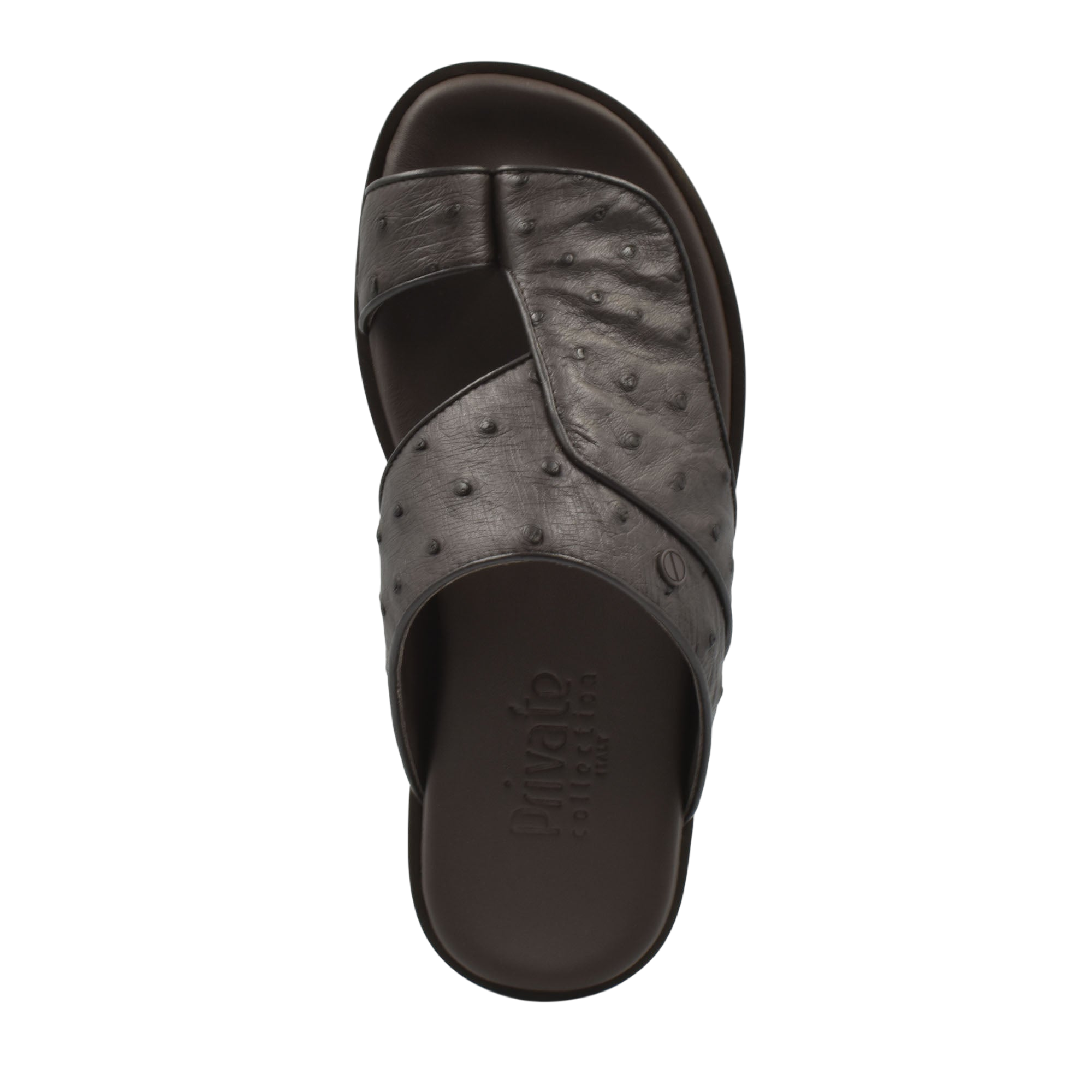 Vela Ostrich