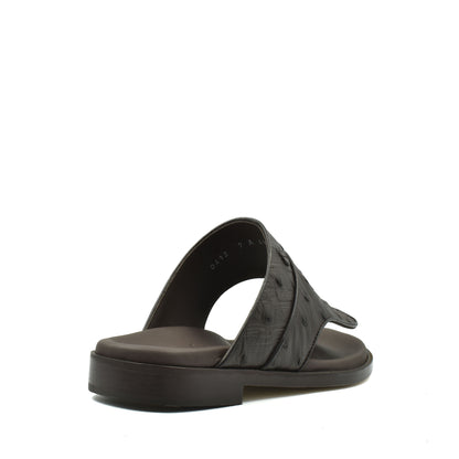 Vela Ostrich
