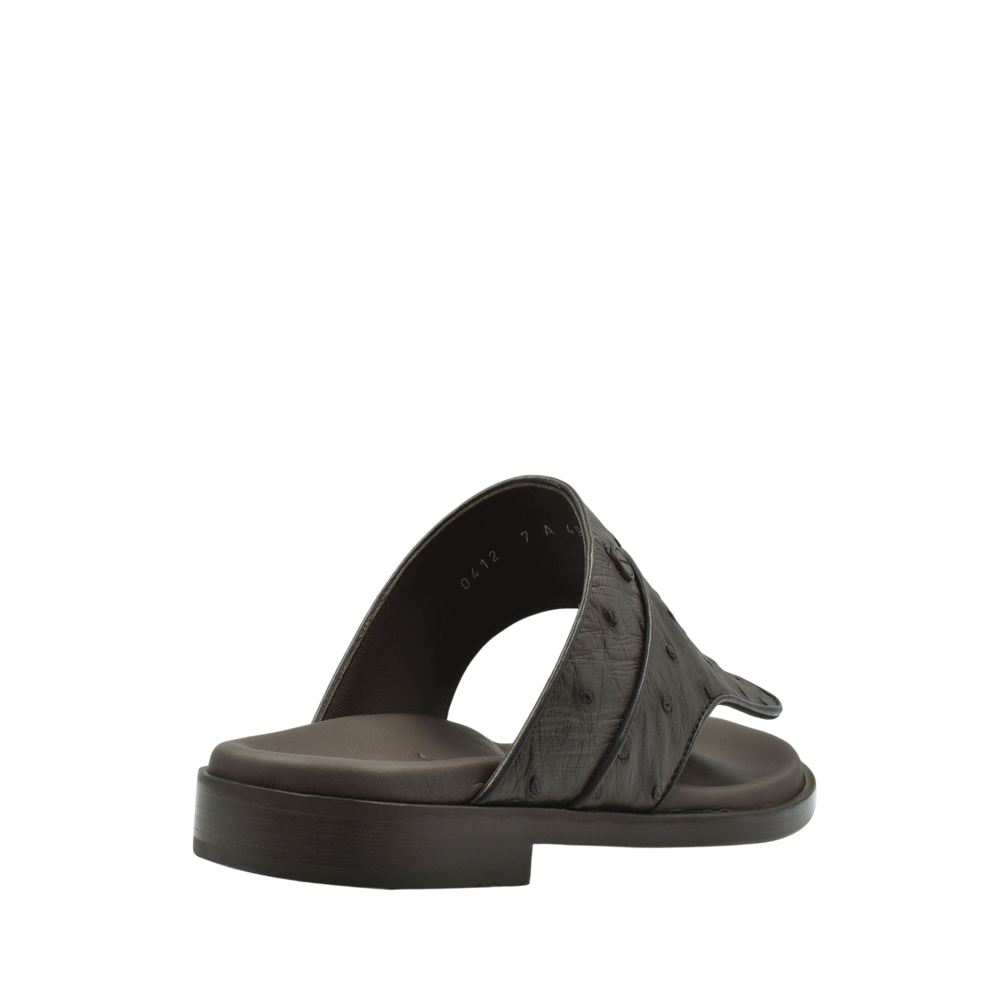 Vela Ostrich