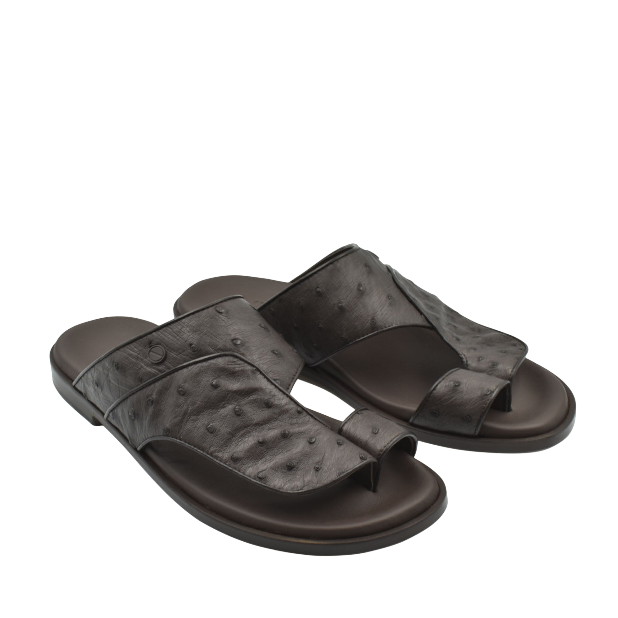 Vela Ostrich