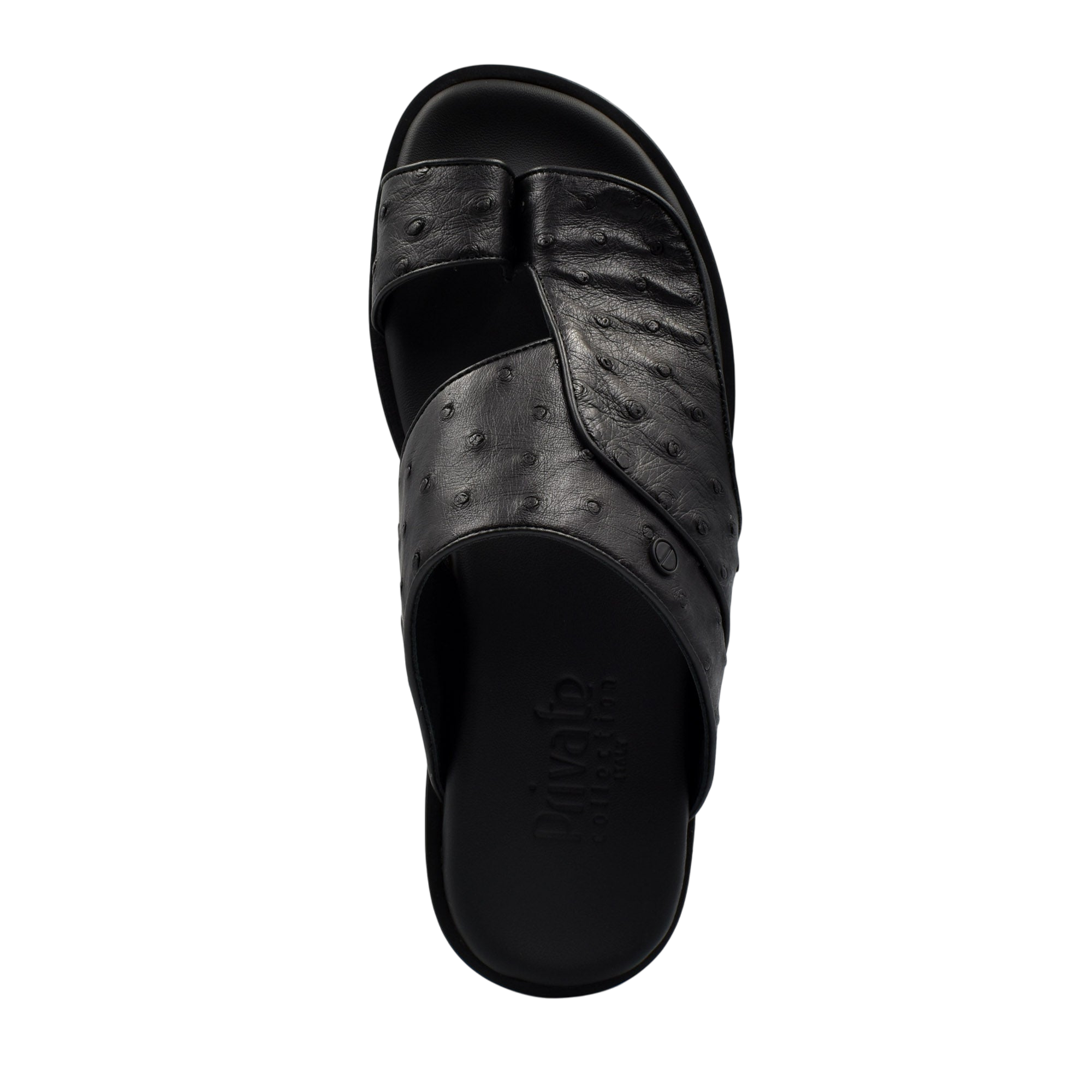 Vela Ostrich