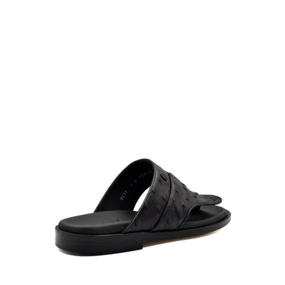 Vela Ostrich
