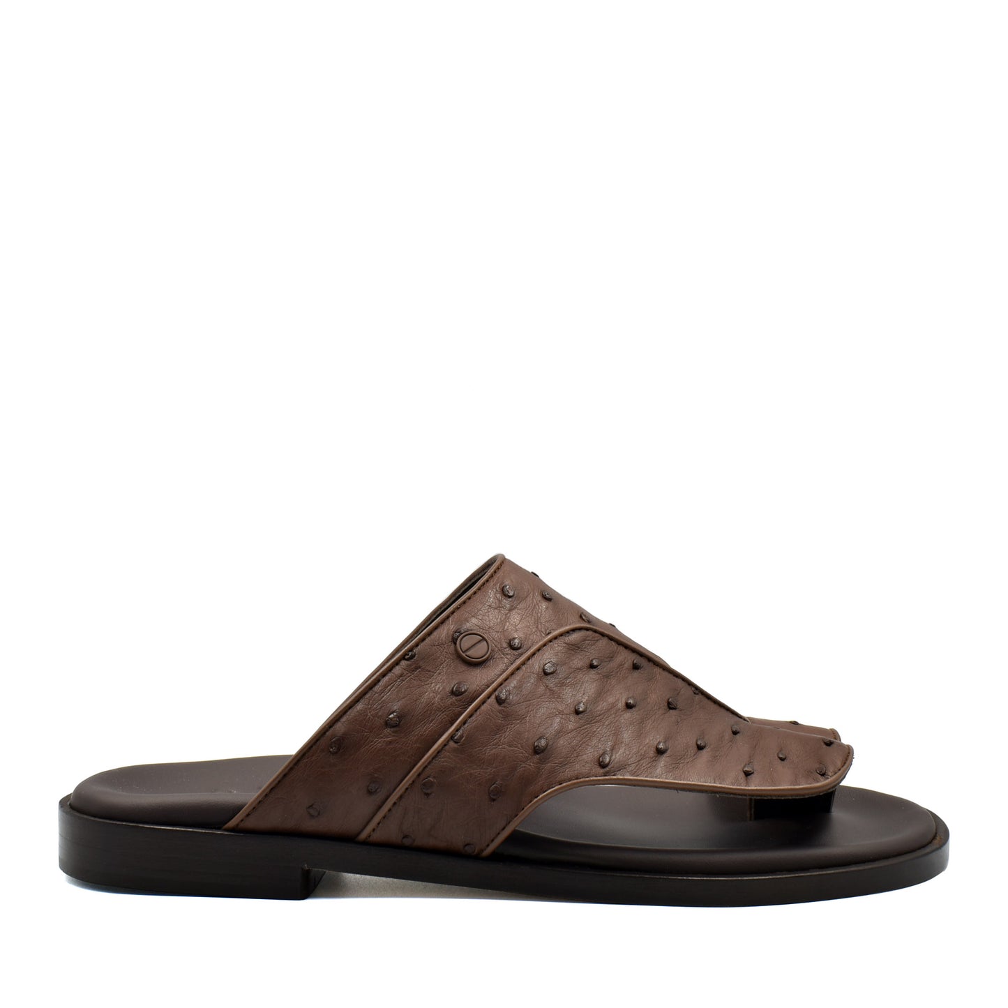 Vela Ostrich
