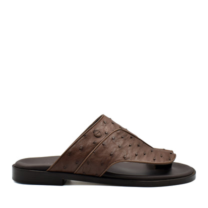 Vela Ostrich