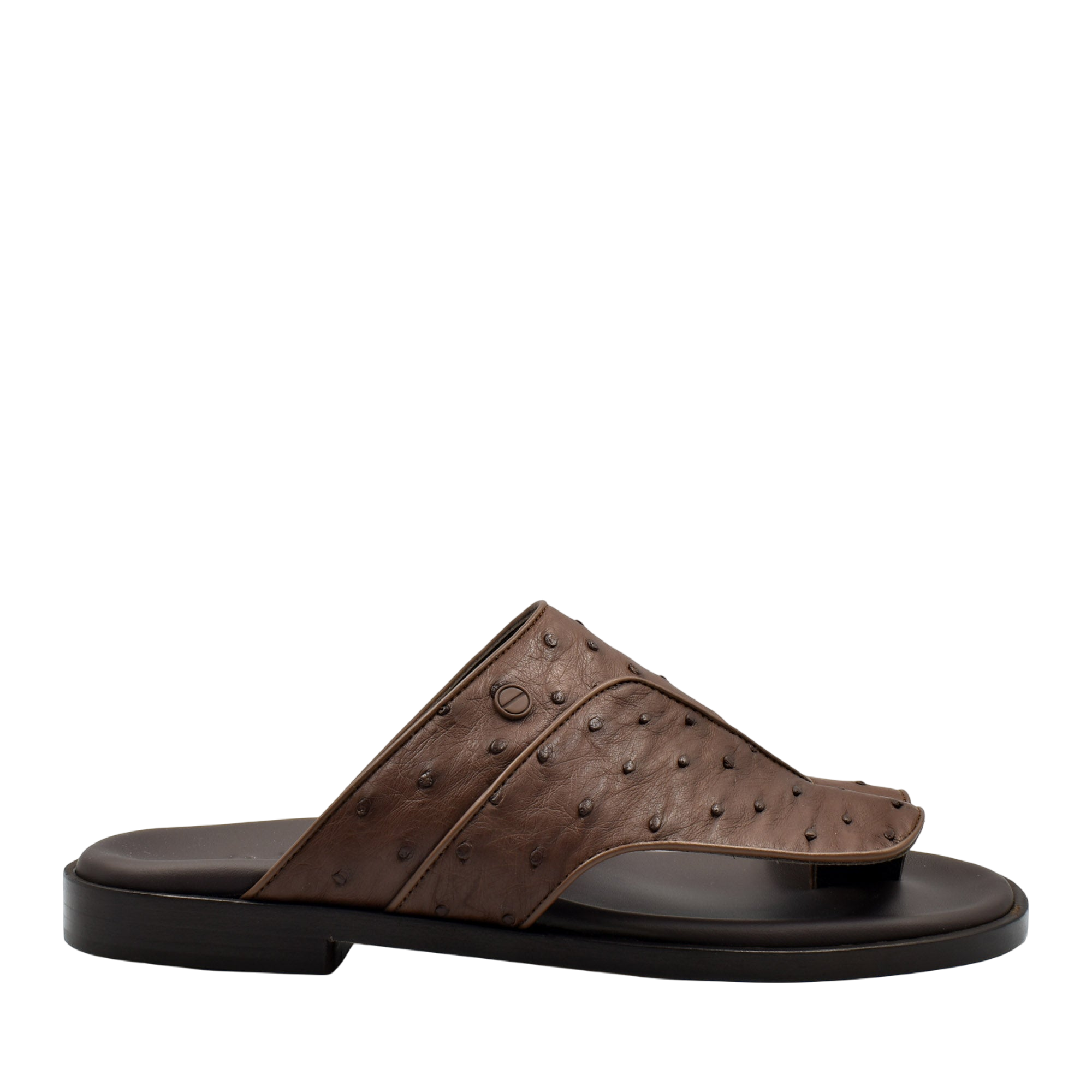 Vela Ostrich