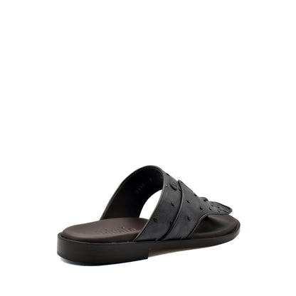 Vela Ostrich