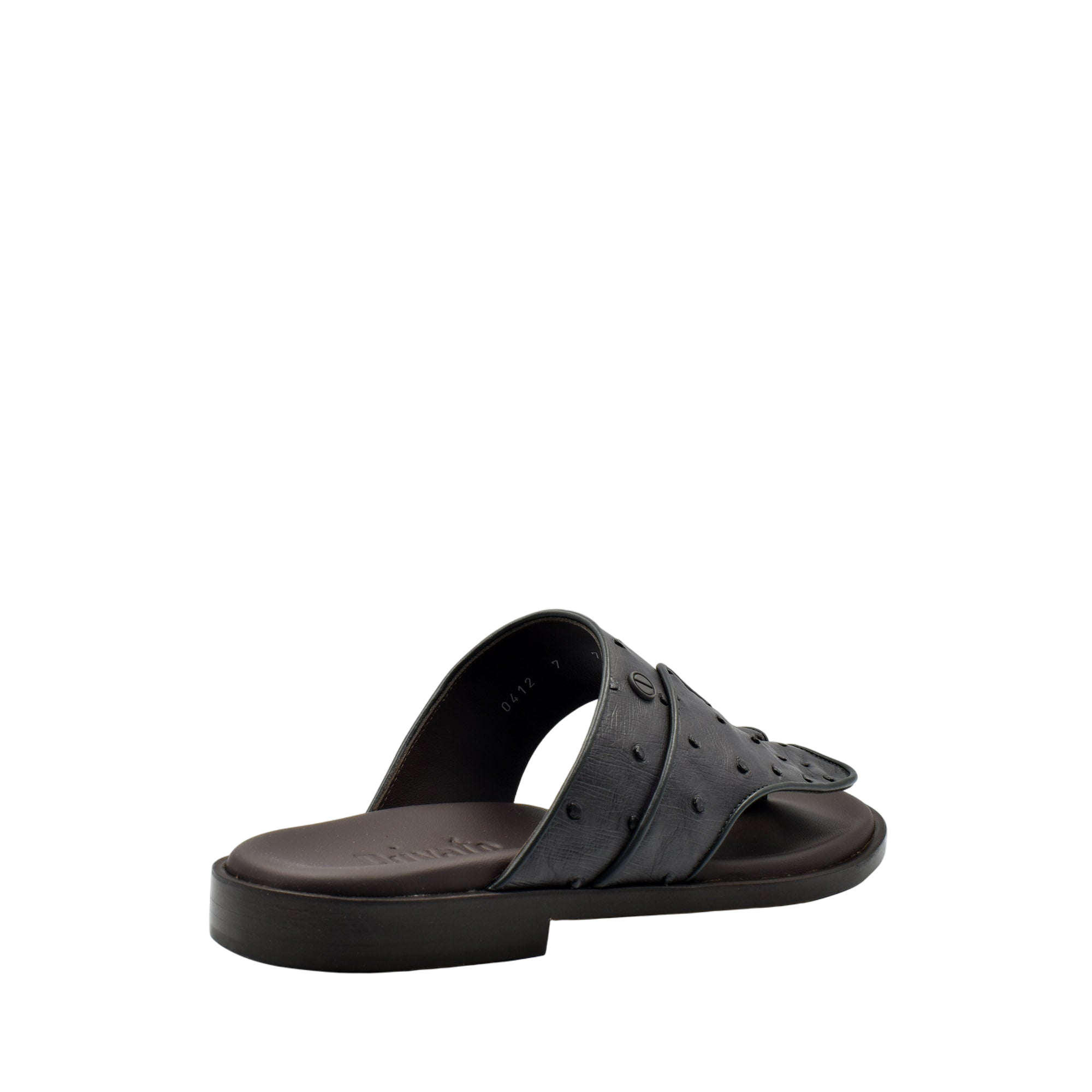 Vela Ostrich