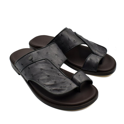 Vela Ostrich