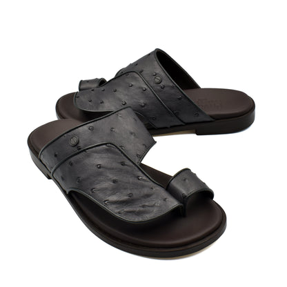 Vela Ostrich