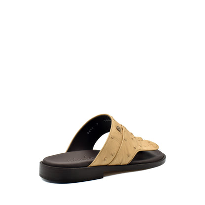 Vela Ostrich