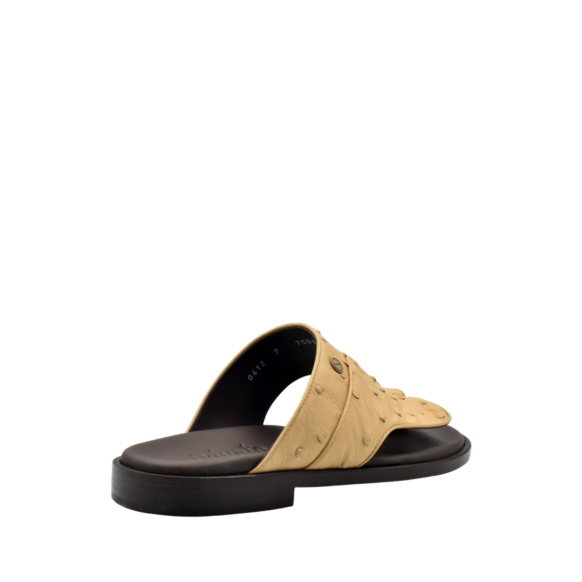 Vela Ostrich