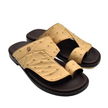Vela Ostrich